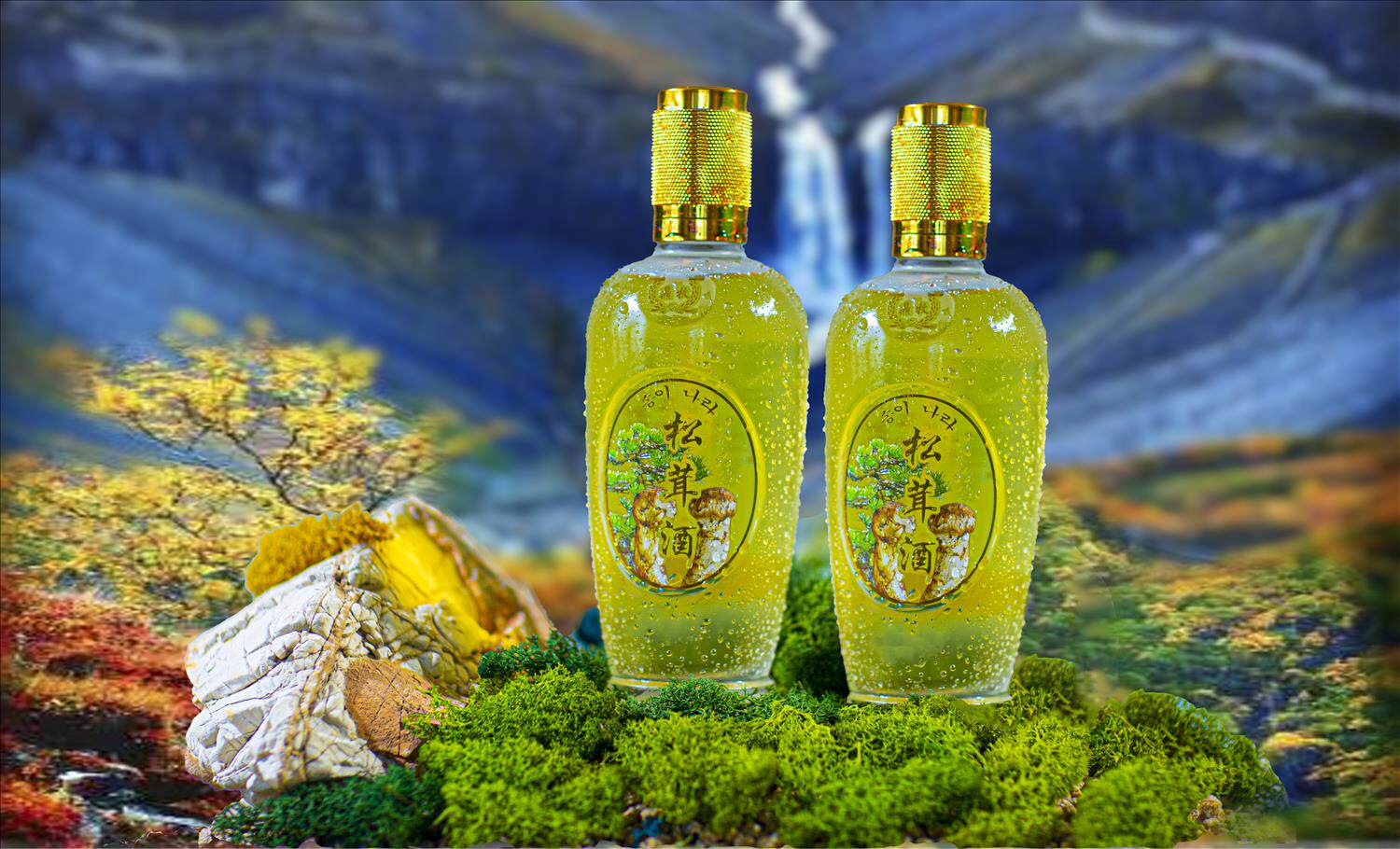 鼎牧东北特色野生松茸酒浓香型42度纯粮酿造白酒