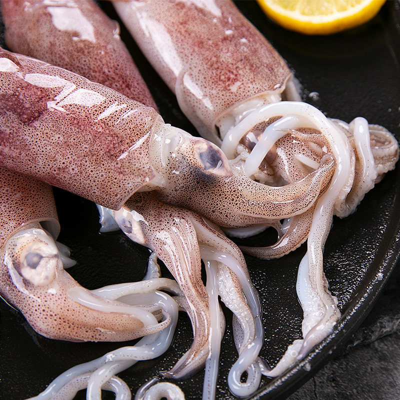 鱿鱼超大鲜活冷冻新鲜尤鱼烧烤鱼宝宝辅食速冻冷冻鱿鱼