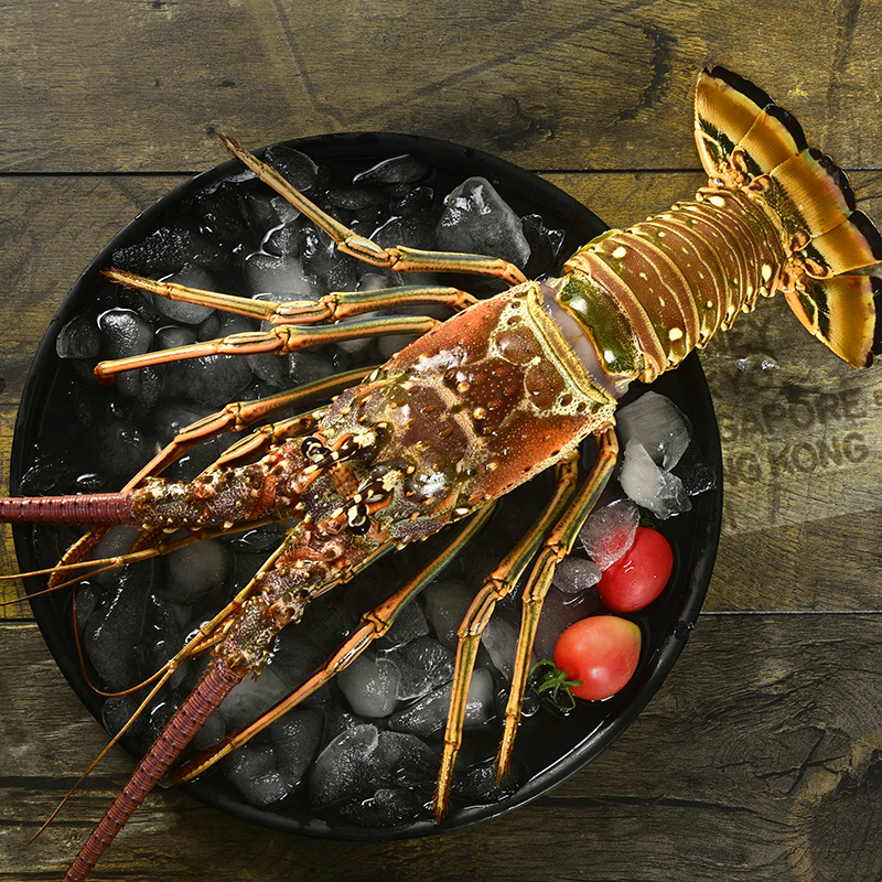 龙虾古巴特大2斤起鲜活冷冻青龙活冻水产海鲜冻虾