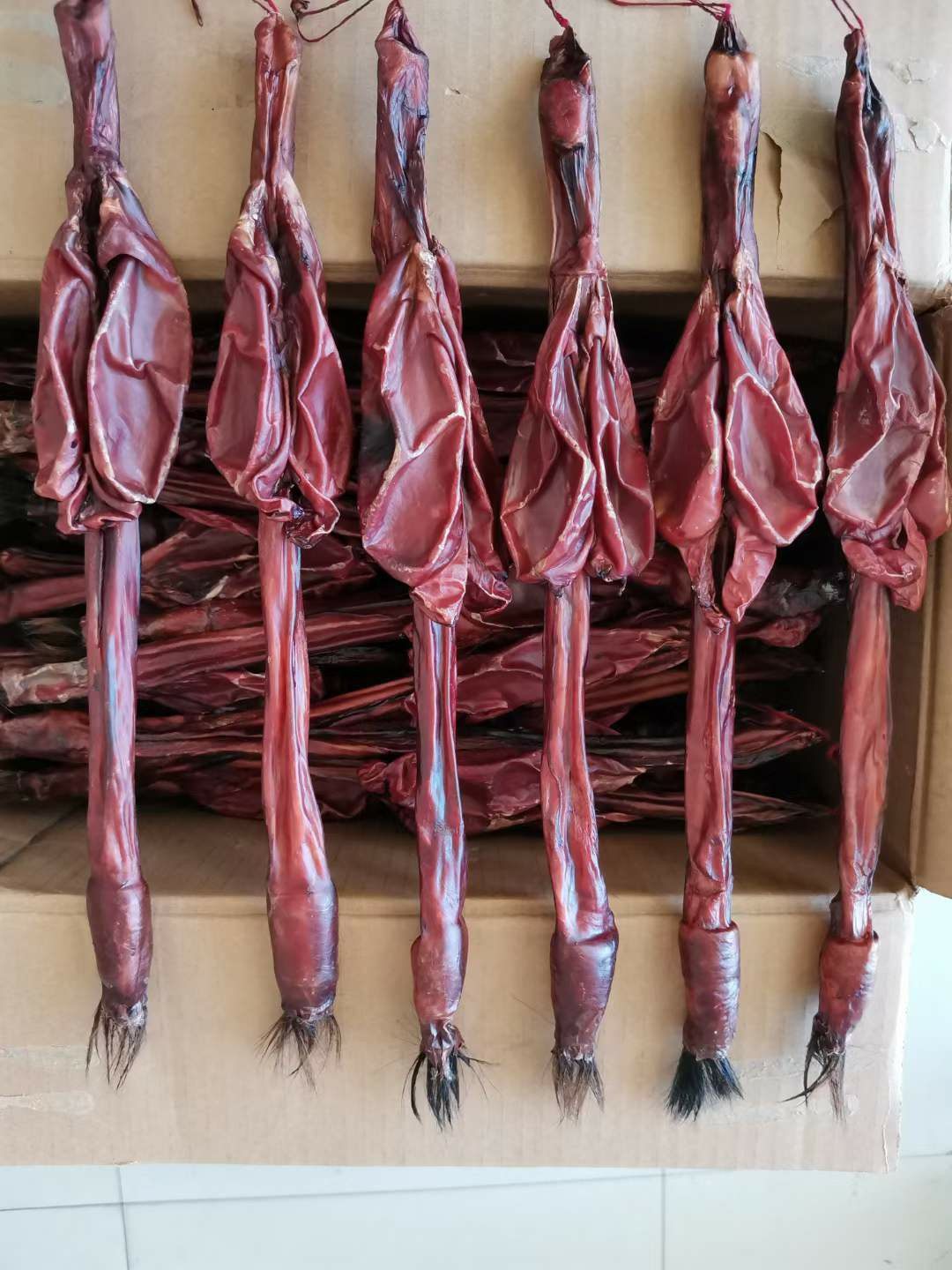 鹿鞭送一干整根整枝吉林长白山鹿茸鹿乡大支新鲜养生泡酒料