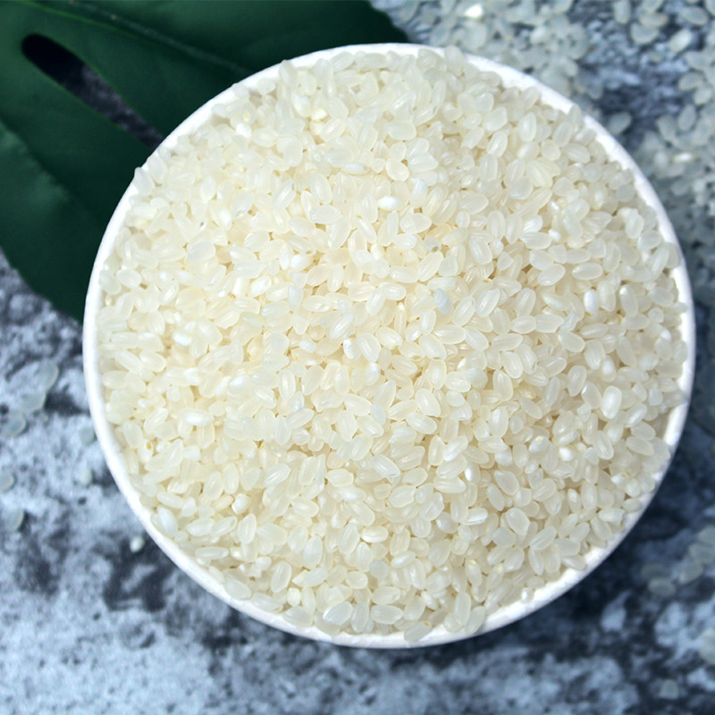 东北松原前郭大米秋田小町圆粒米松花松花江江水嚼劲大米