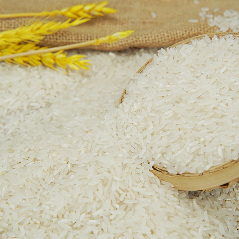 虾稻共养监利大米丝苗米10斤