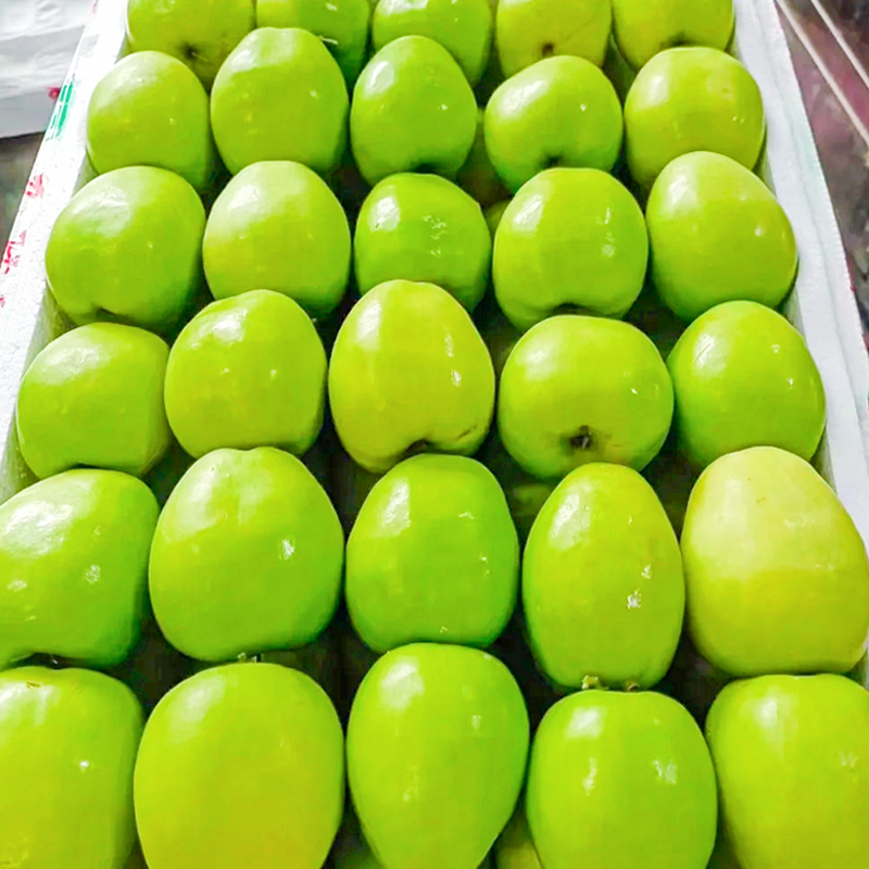 新鲜云南牛奶大青枣子大枣鲜枣当季孕妇水果枣