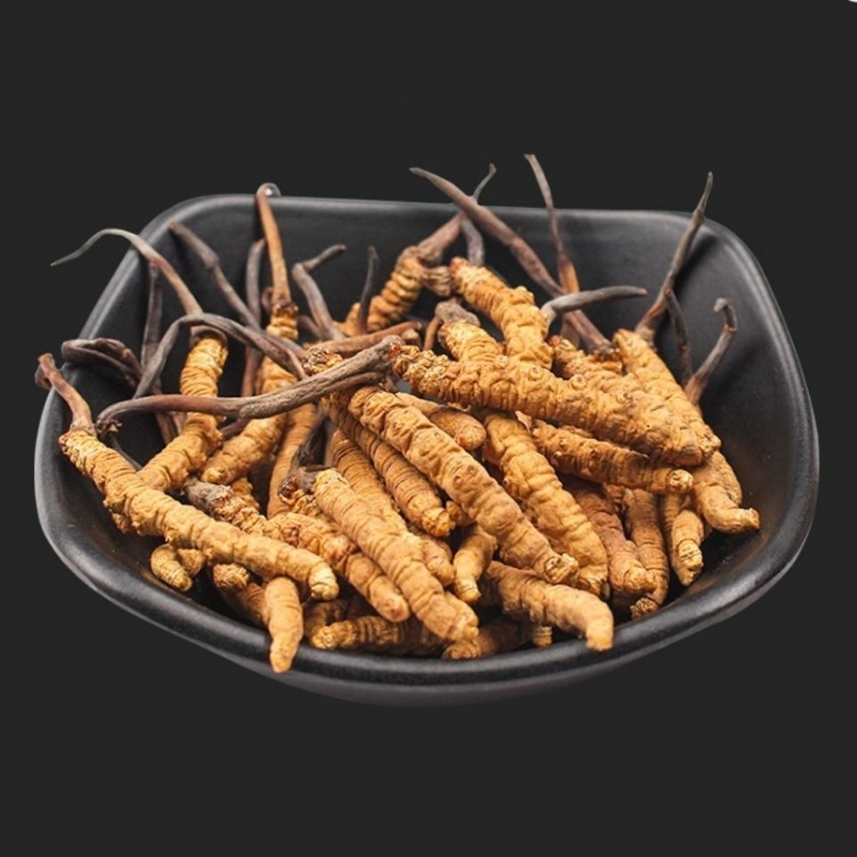 虫草野生生虫草头1克3根滋补养生泡酒夏草冬虫夏草