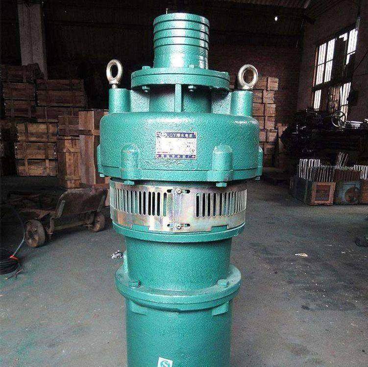 新款水款3kw油浸不锈钢扬程三相高浸式新泵景观其他五金件