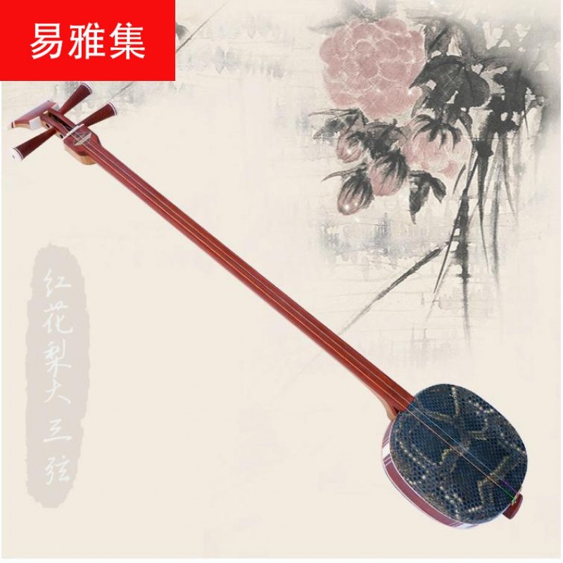 三弦弦乐器大三红花花梨木指板楸木琴红木琵琶