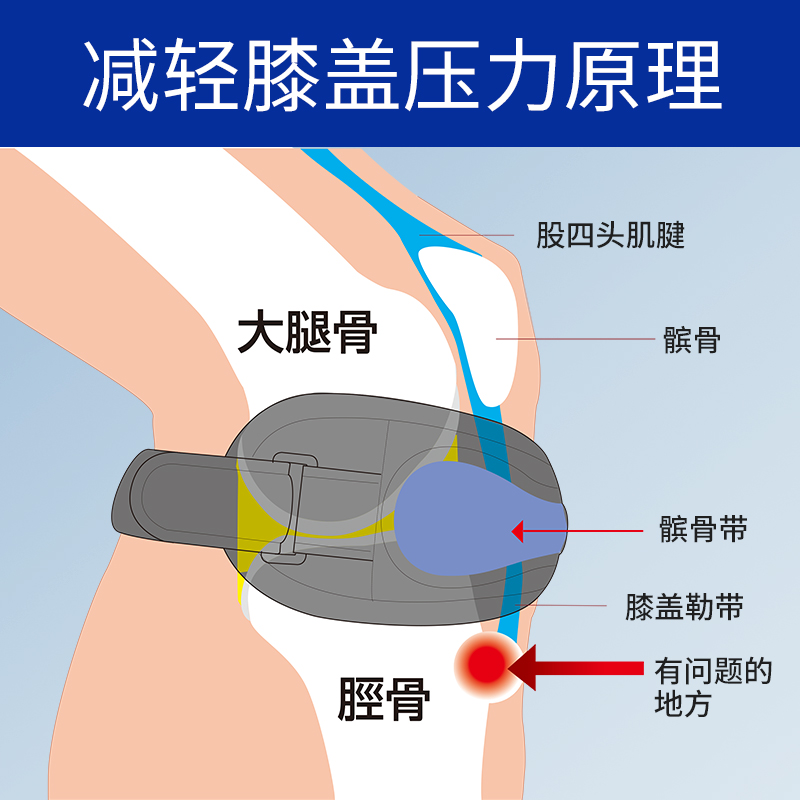 日本进口sorbothane髌骨保护膝关节半月软化稳定固定器保健护具护腰