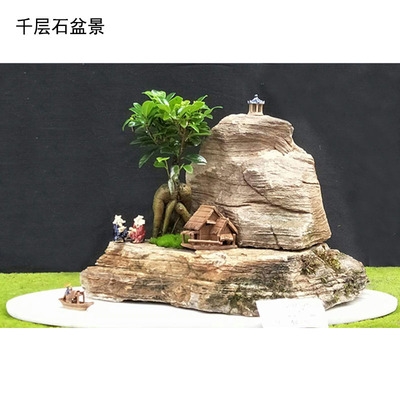 假山盆景硬石千层石造景石龟纹石天然石头鱼缸造景
