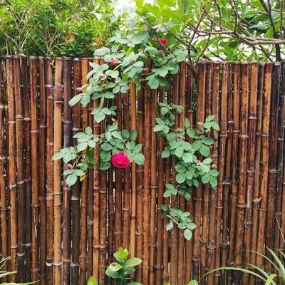 栅栏竹编制品围墙庭院隔离家用篱笆围栏竹子大型篱笆