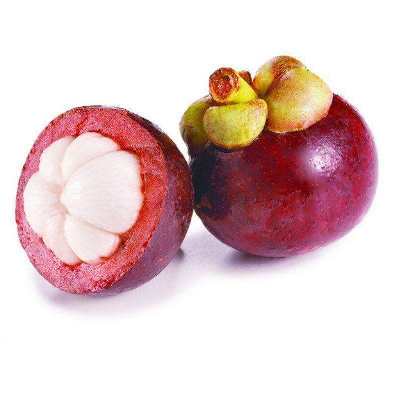 树苗泰国山竹无籽红肉山竹果盆栽地栽当年结果果树