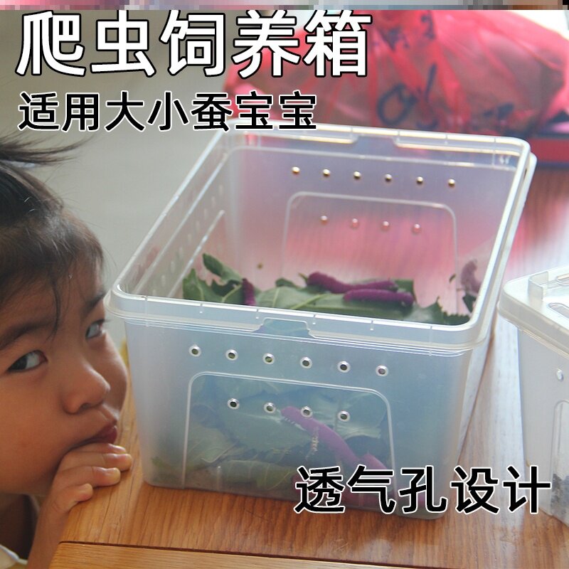 学生养蚕蚕宝宝别墅小型房子宠物盒子简易大号蚕宝宝
