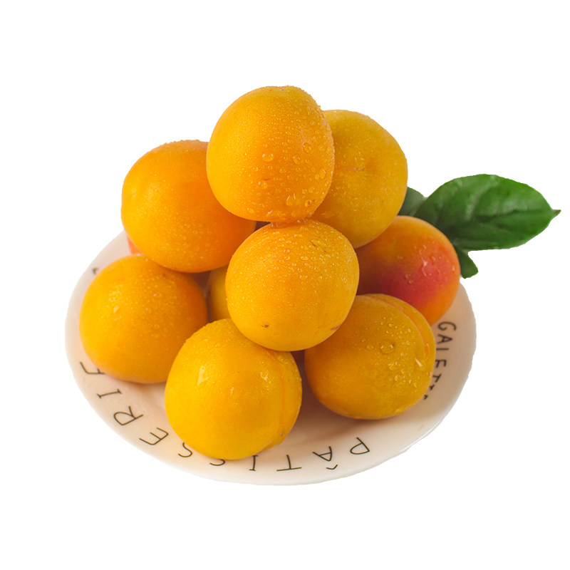 水果山东大黄杏子新鲜孕妇应季整箱5斤甜杏杏