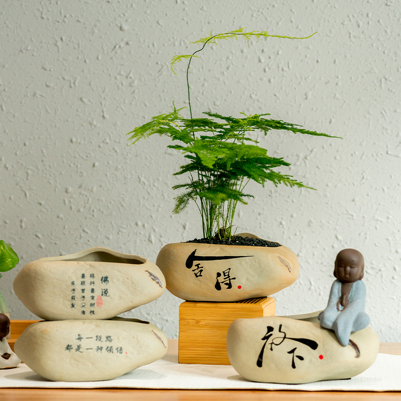 新中式盆栽绿植禅意富贵竹书房茶几茶台植物驱蚊绿植