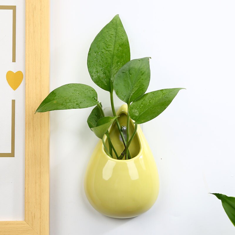 挂壁水培壁挂花盆懒人绿萝墙壁壁挂式墙上挂墙花瓶