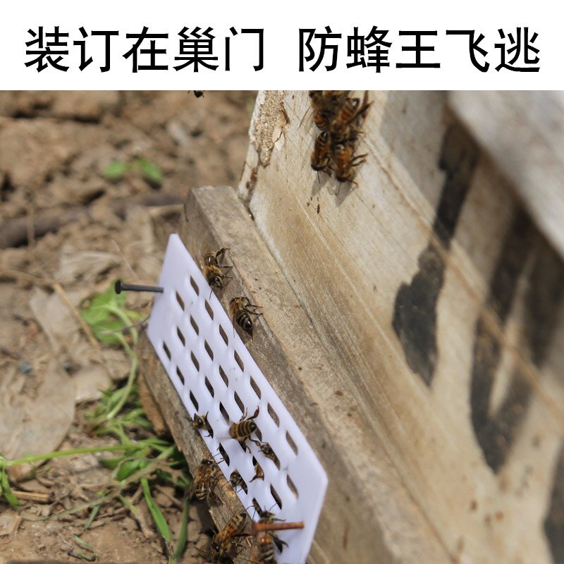 防逃片中蜂塑料蜜蜂防跑片m蜜蜂箱蜂具工具防逃网多用防盗蜂隔王