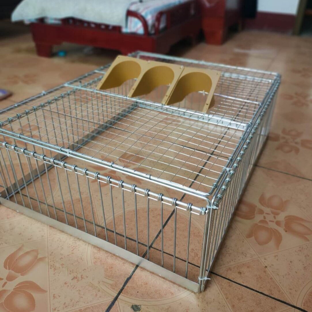 神器捕鸽天落四面撞门只不出诱捕野外鸽子捕养笼子