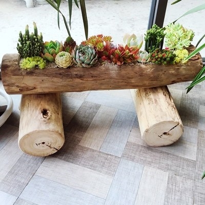 多肉枯木花盆根雕花架树根木头客厅种花老木花盆