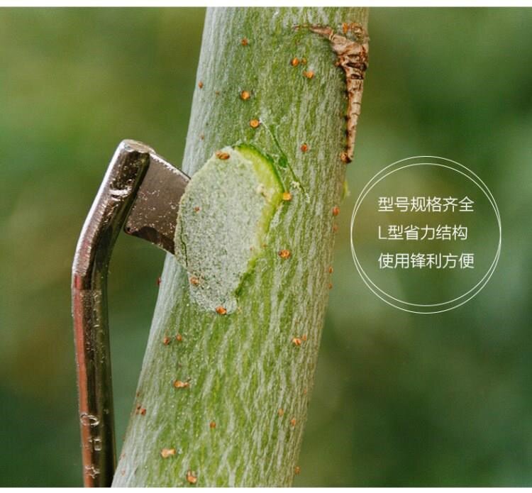 环割刀不锈枣树果树树皮环剥刀环树剪刀修剪树木剪刀