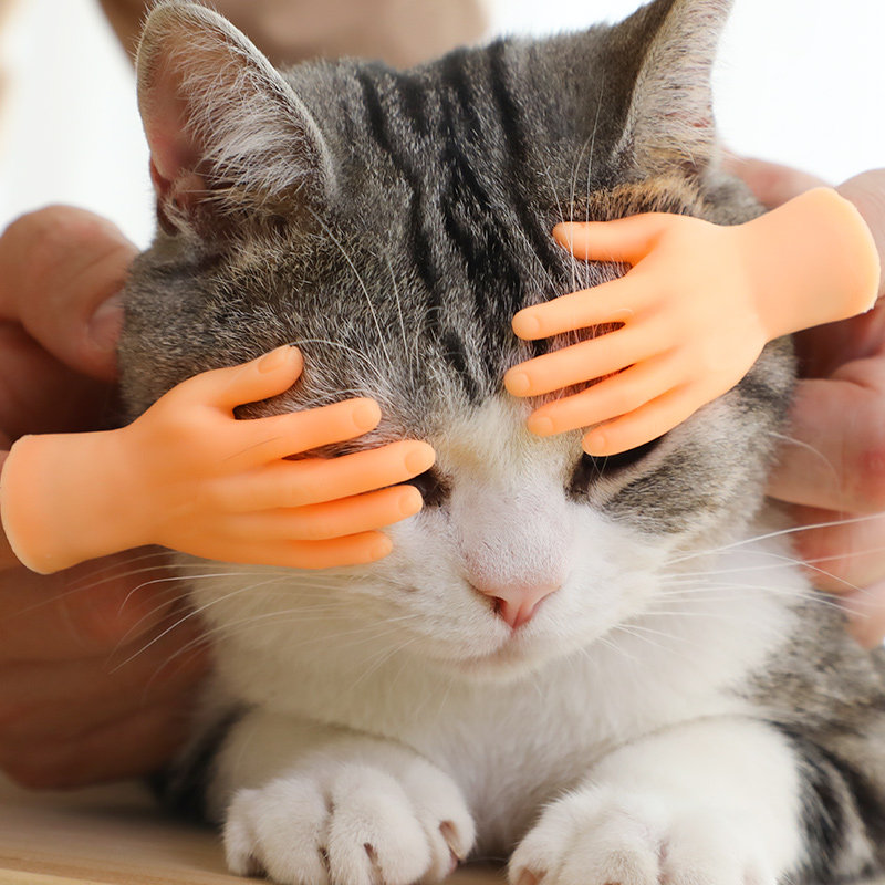 猫咪小手手套玩具自嗨抖音网红芭比模型手指逗猫棒