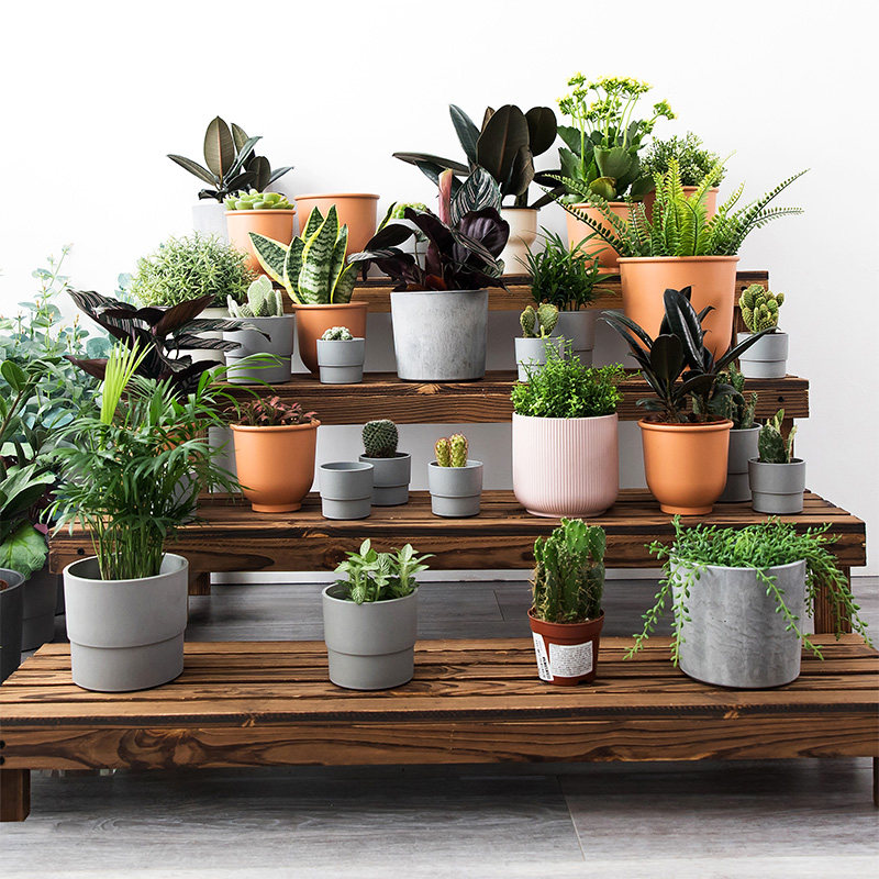 花架多层阶梯式户外防腐庭院防水实木室外多肉花架