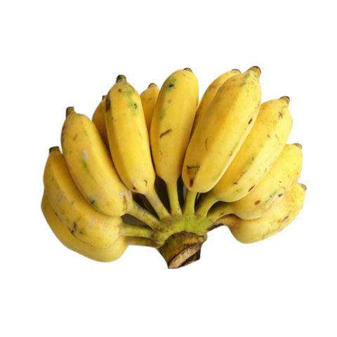 现砍现寄寄出芭蕉plantain海南香蕉米粉奶焦新鲜其它元器件