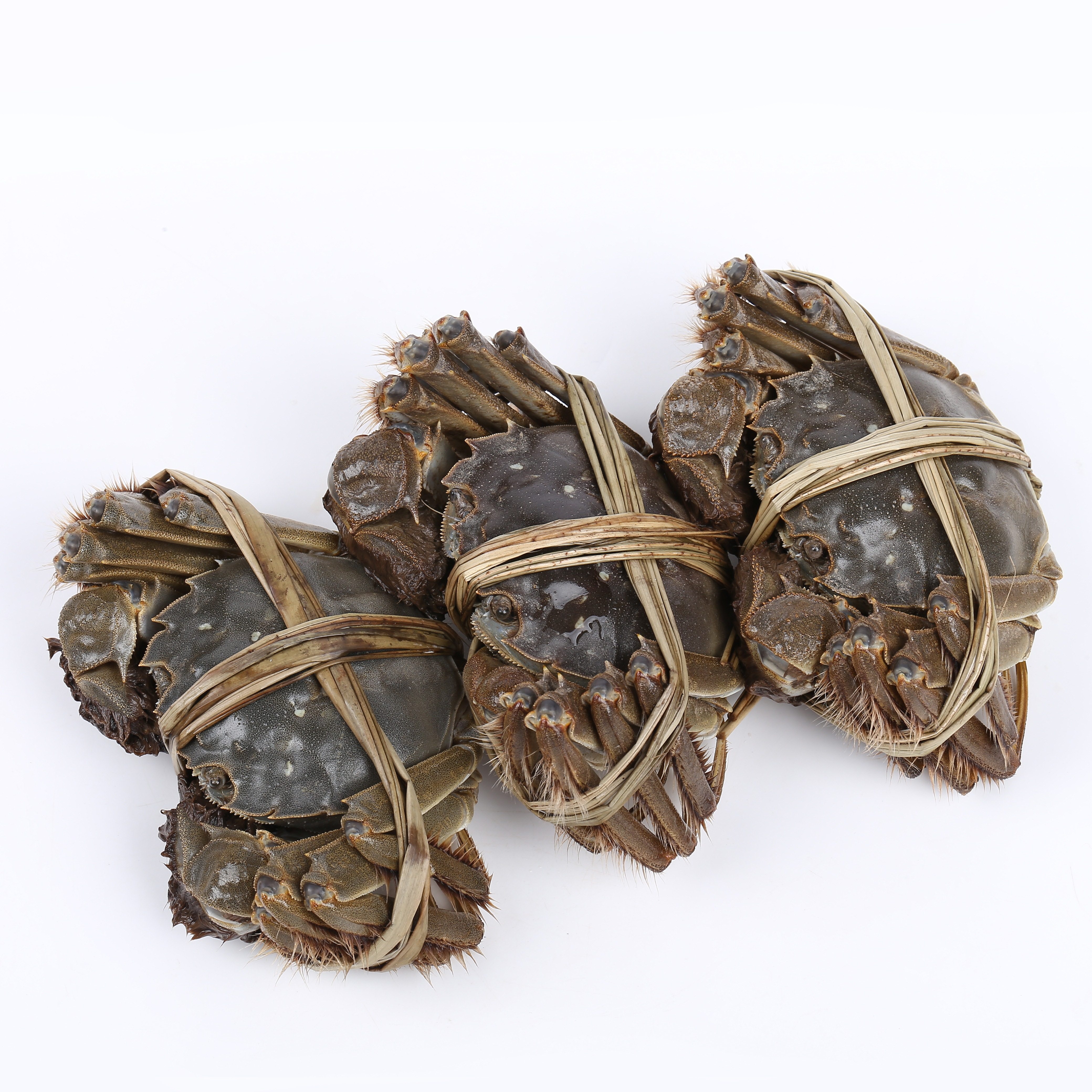 湖南湘阴特产龙湖鲜活水产大闸蟹2.5两母蟹8只大闸蟹