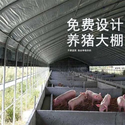 养殖大棚骨e架钢管架保温全套椭圆管鸡舍猪舍牛羊f圈养猪大棚棚