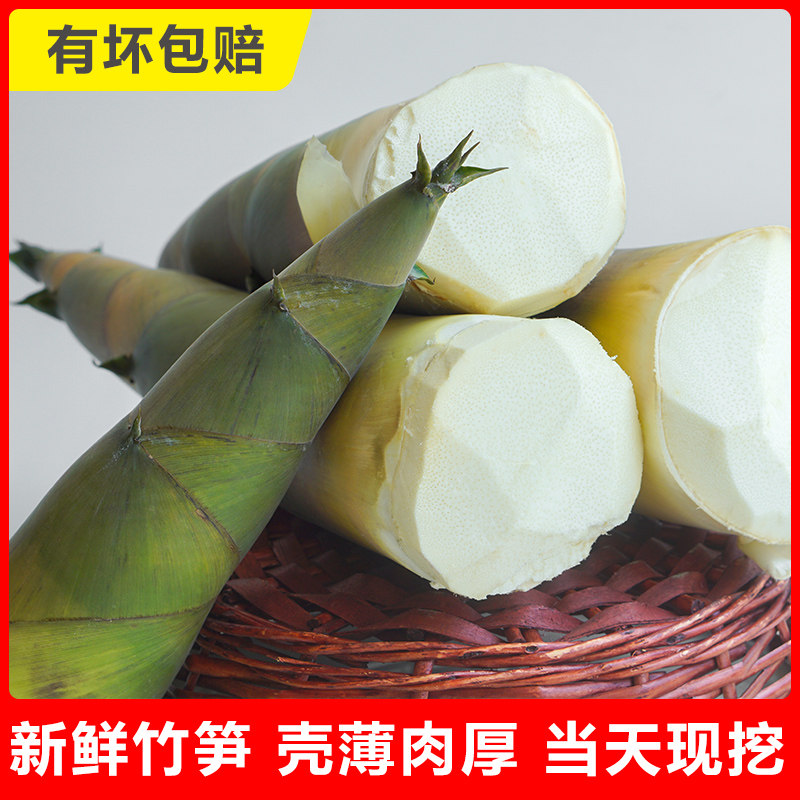 竹笋师蔬现货新鲜广东野生大头甜笋农家蔬菜竹笋