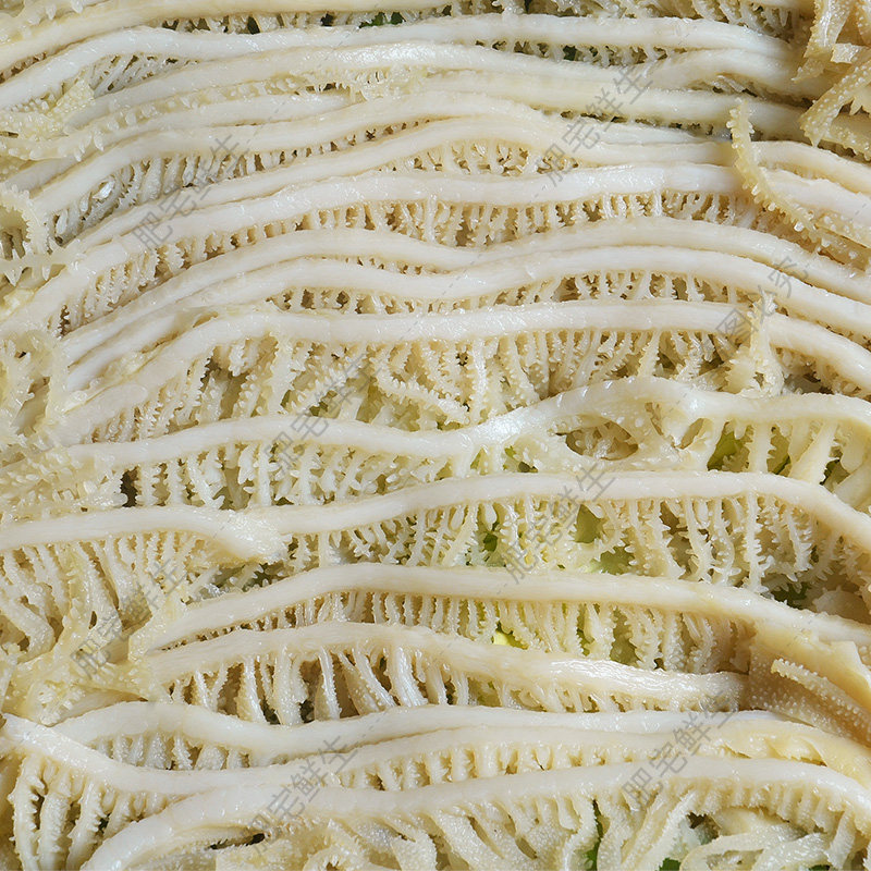 千层白千层冷冻白煮精品冒菜百叶肚丝新鲜白毛牛杂类