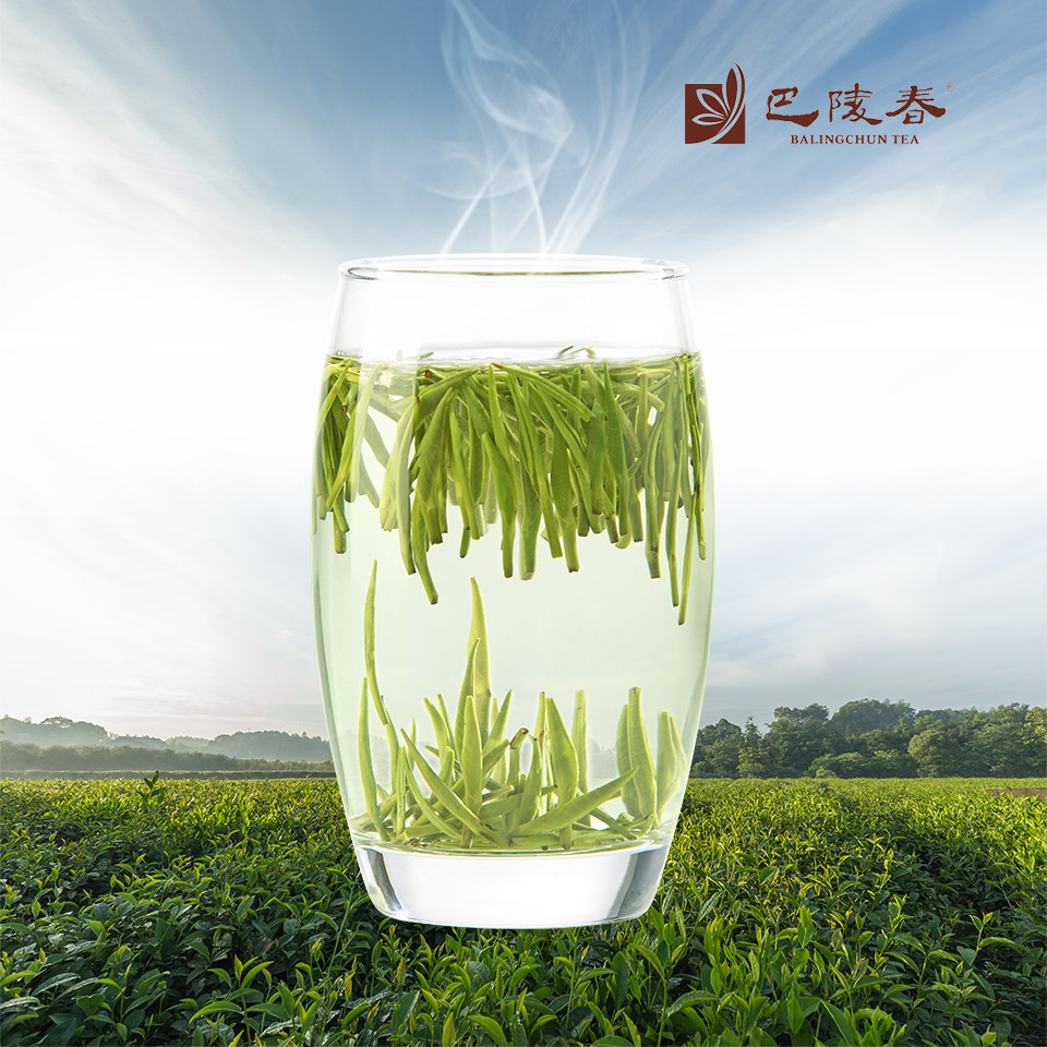 巴陵2022年新茶君山银针岳阳礼盒盒装送礼绿茶其它绿茶