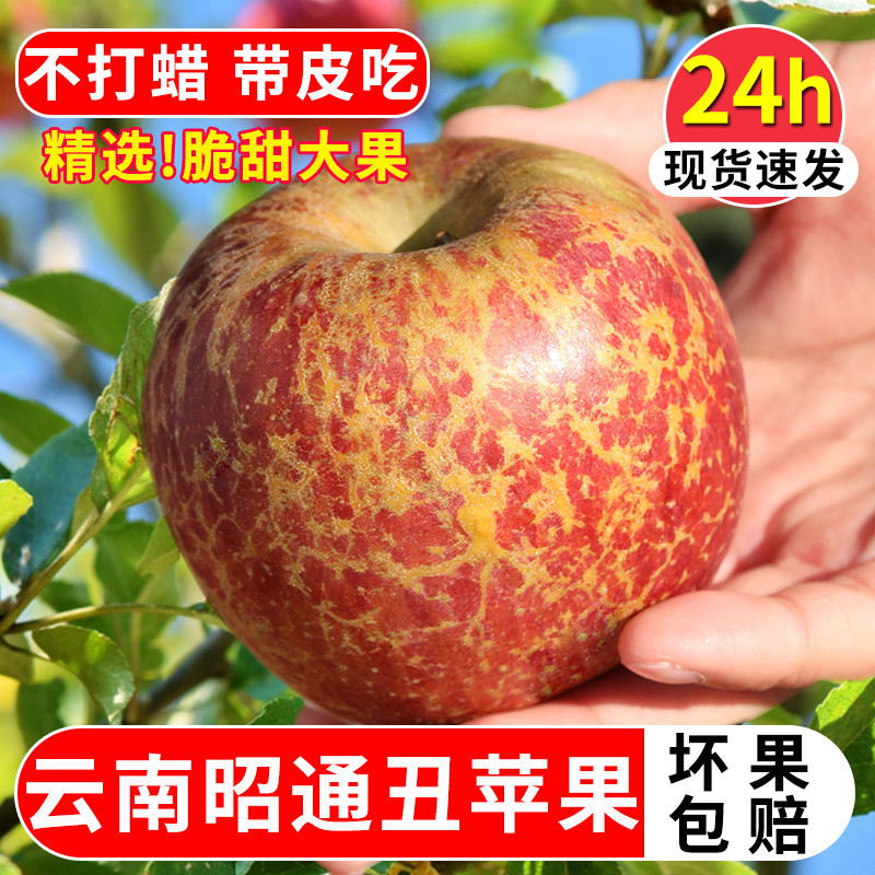 云南昭通丑苹果冰糖心新鲜水果当季整箱9斤包邮脆甜红富士大平果12.