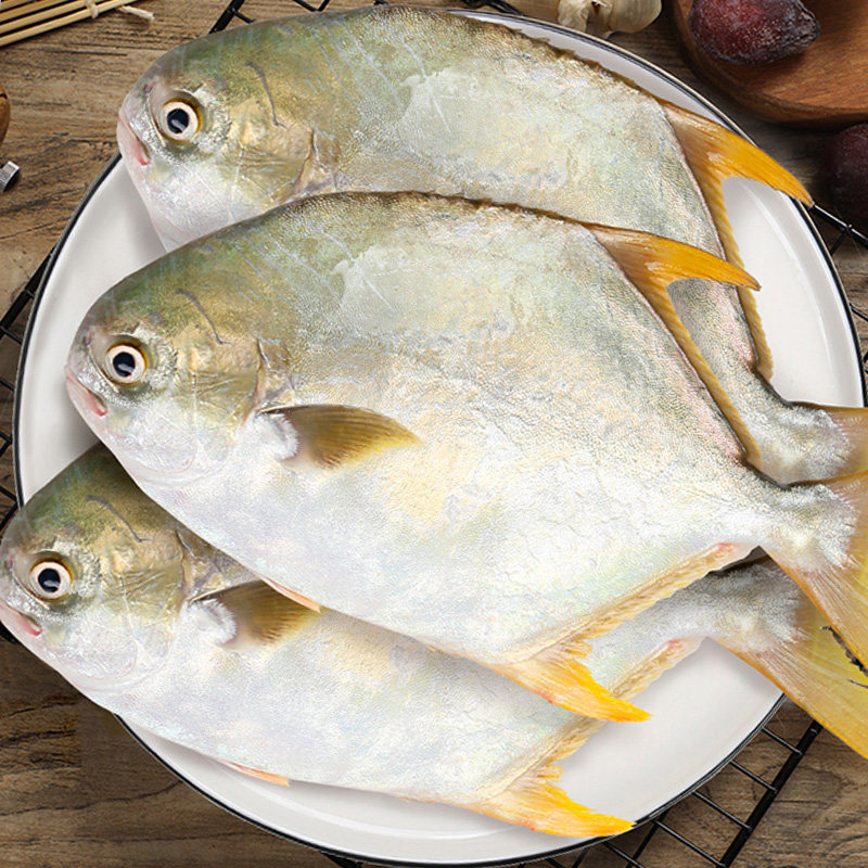 昌鱼金昌鱼平鱼新鲜海3条传播400g-500g鲳鱼海金深海鲳鱼