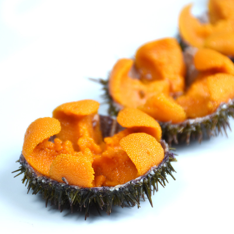 大连黄海胆鲜活海胆刺身即食材料500g