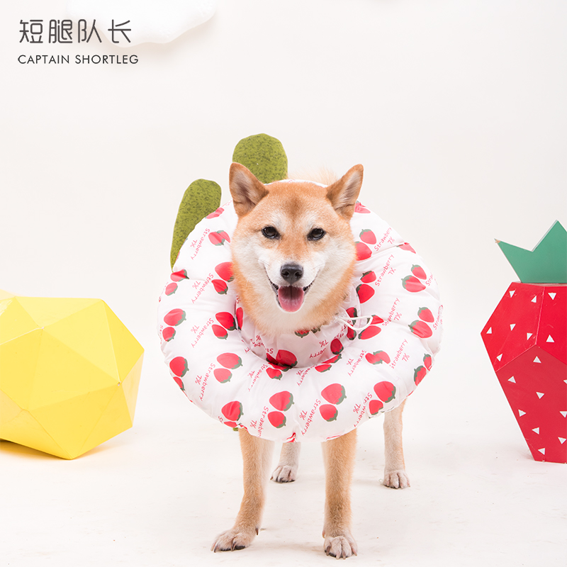 短腿队长狗狗伊丽莎白圈防水加宽防舔脚软圈猫咪防舔圈宠物耻辱圈 - 图1