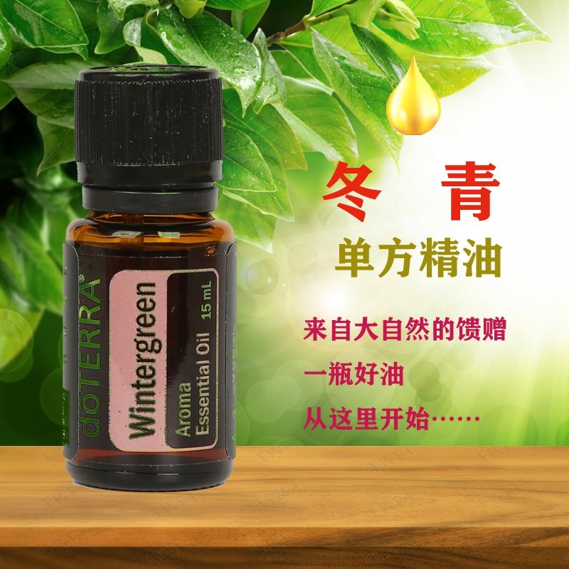 高档doterra多特瑞官网冬青单方精油15ml循环缓解单方精油