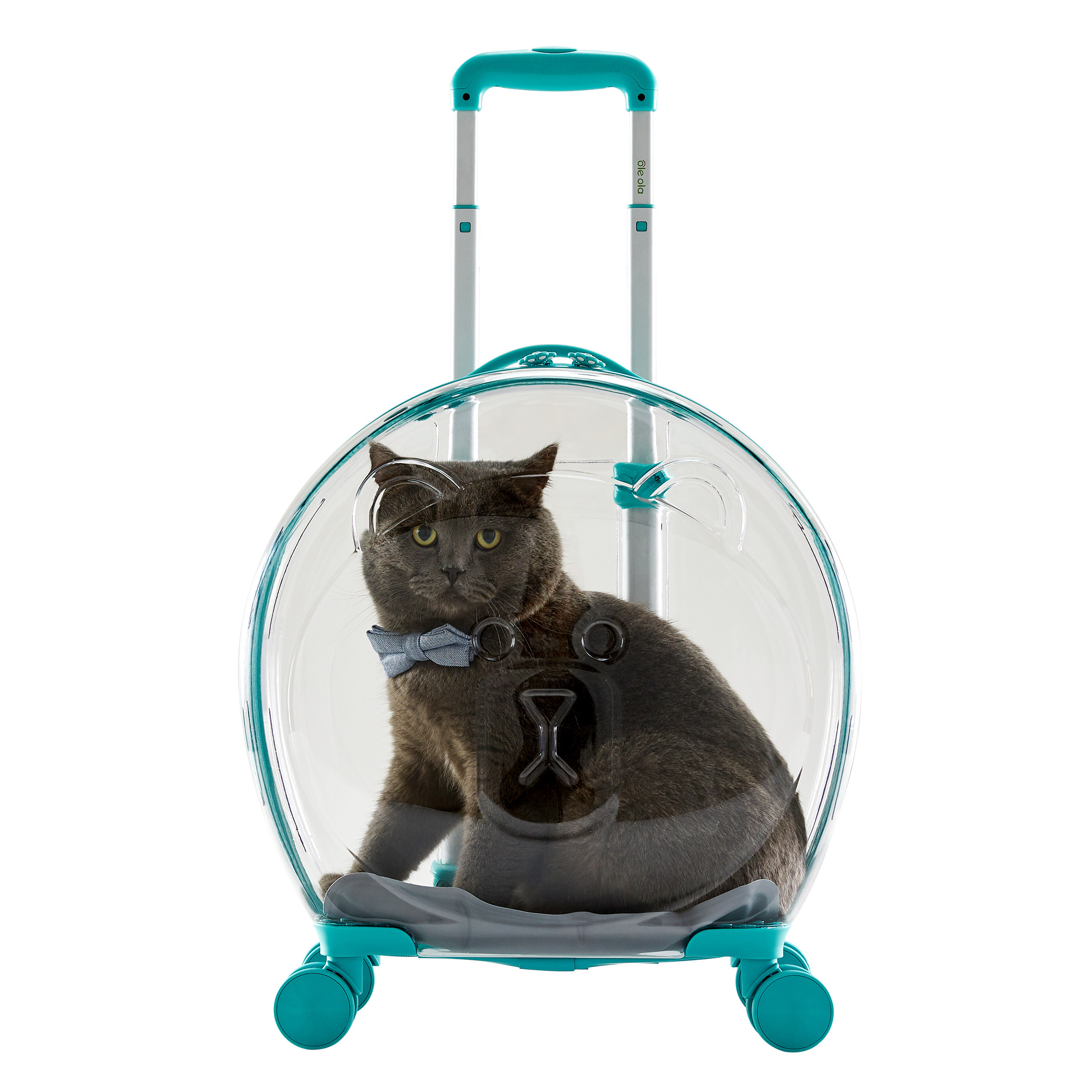 泡泡宠物透明拉杆箱玩具随身外出车载便携俊介背包