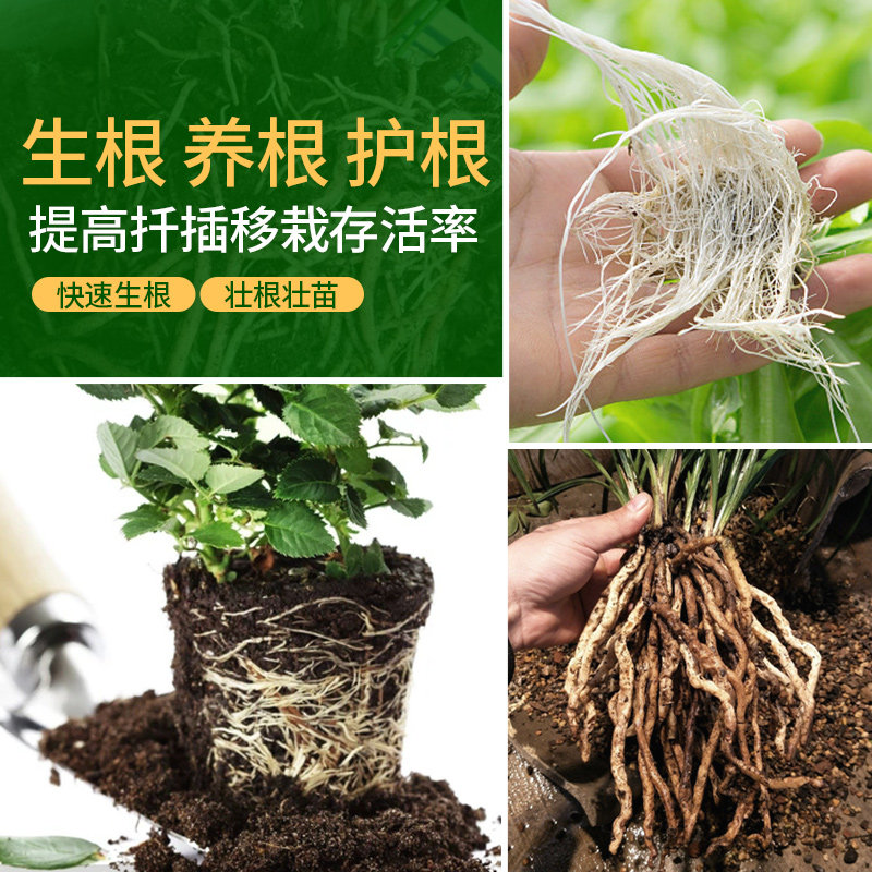 生根施可丰植物通用型扦插专用发根养根营养液壮根家庭园艺肥料