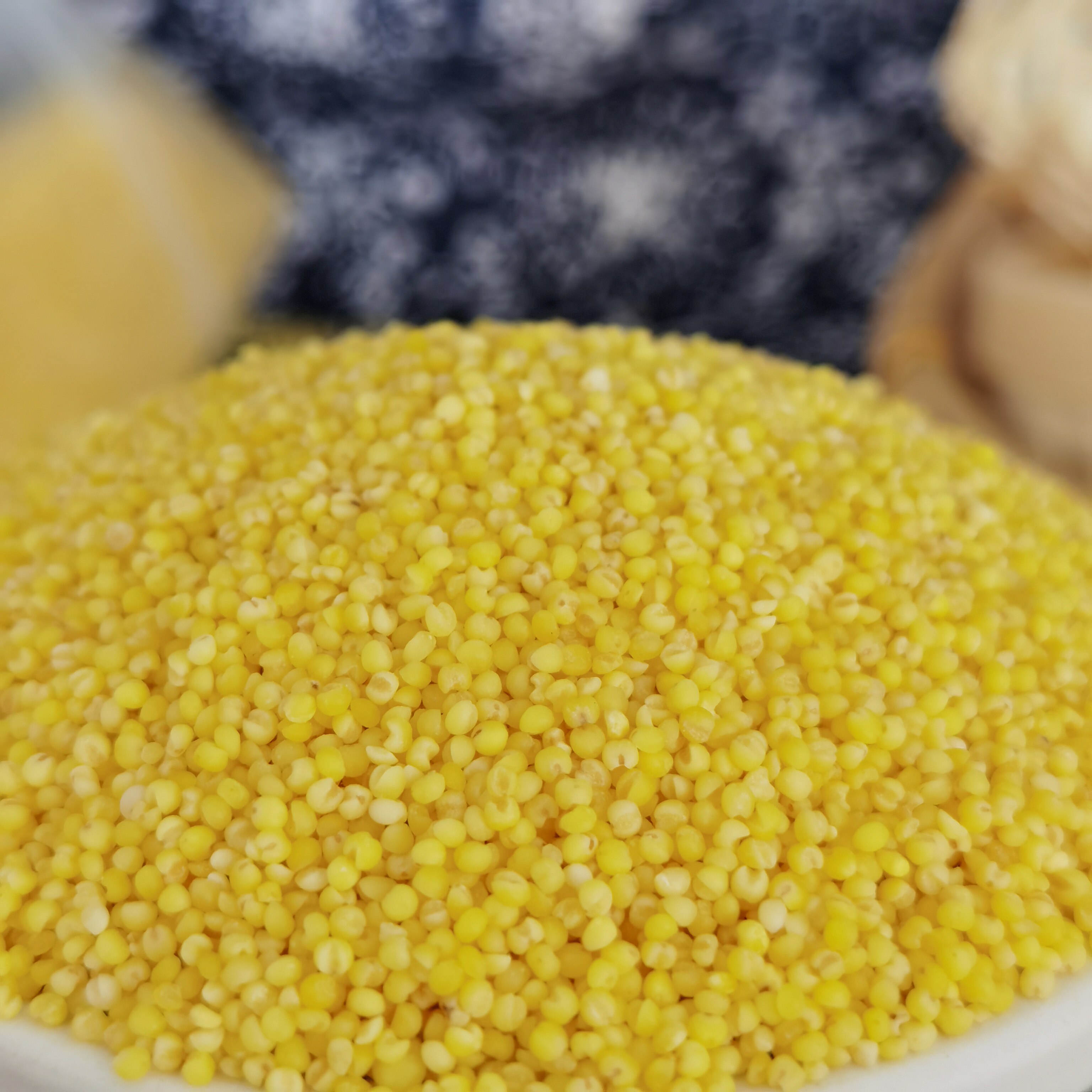 小米金苗赤峰大金25kg北方大地特产黄小米新米小米