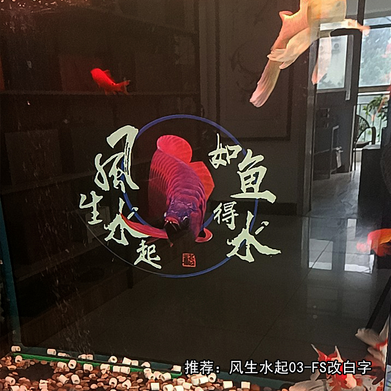 鱼缸背景贴纸3d立体高清图鱼缸壁纸背景5d水族箱壁画风生水起造景