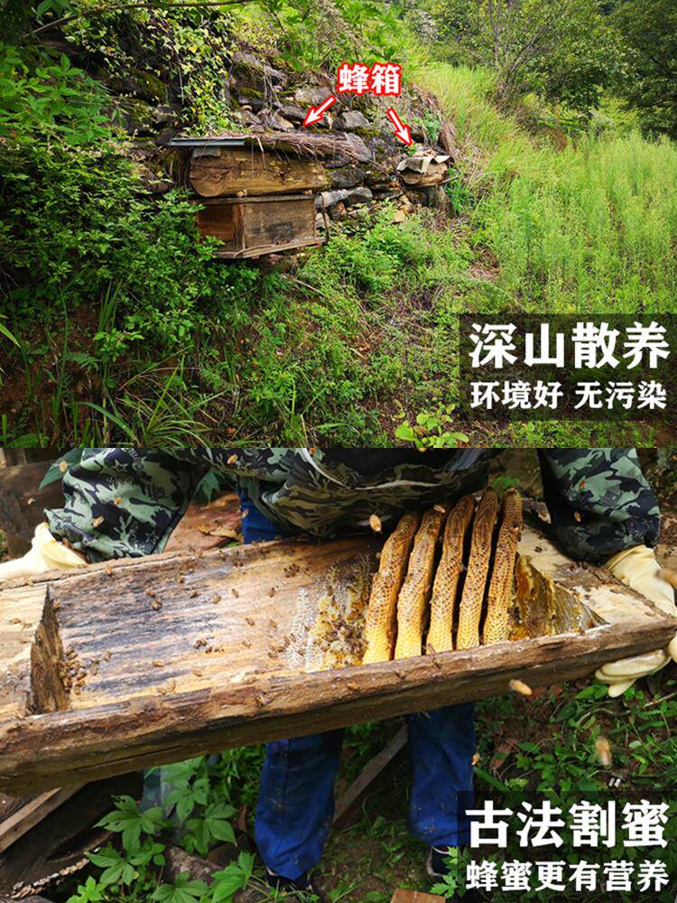 土蜂蜜纯正天然农家自产药花蜜真秦岭深山木桶野生成熟百花蜜峰密