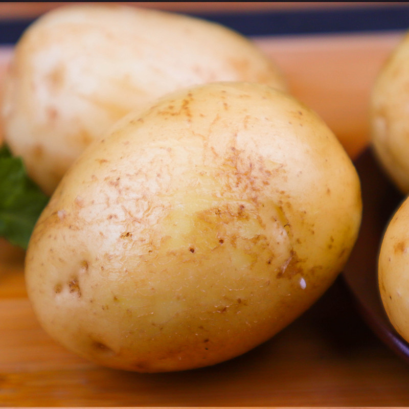 云南南高海拔马铃薯新鲜蔬菜精选洋芋土豆5斤土豆