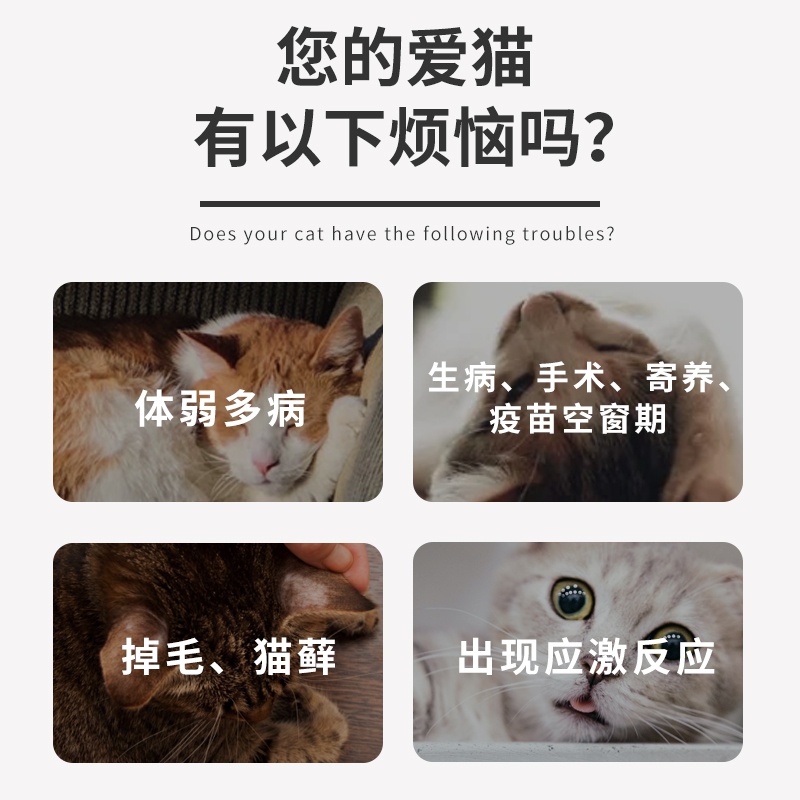 猫转移因子口服液口溶液猫咪提高免疫力博莱宠猫免疫因子。 - 图3