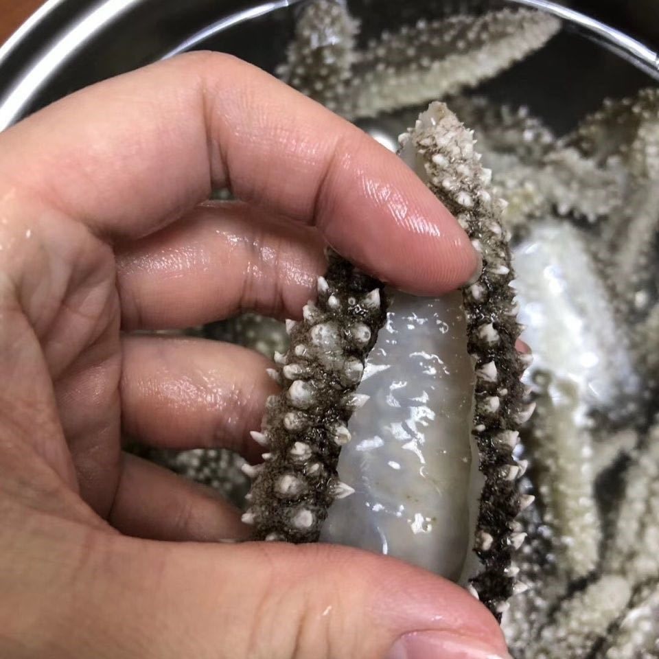 印尼野生白刺参刺秃参猪婆参白赤参海参干货淡干海参