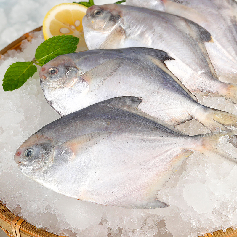 捕银鲳鱼中粮凌鲜东海新鲜海深海海冷冻包邮400g鲳鱼