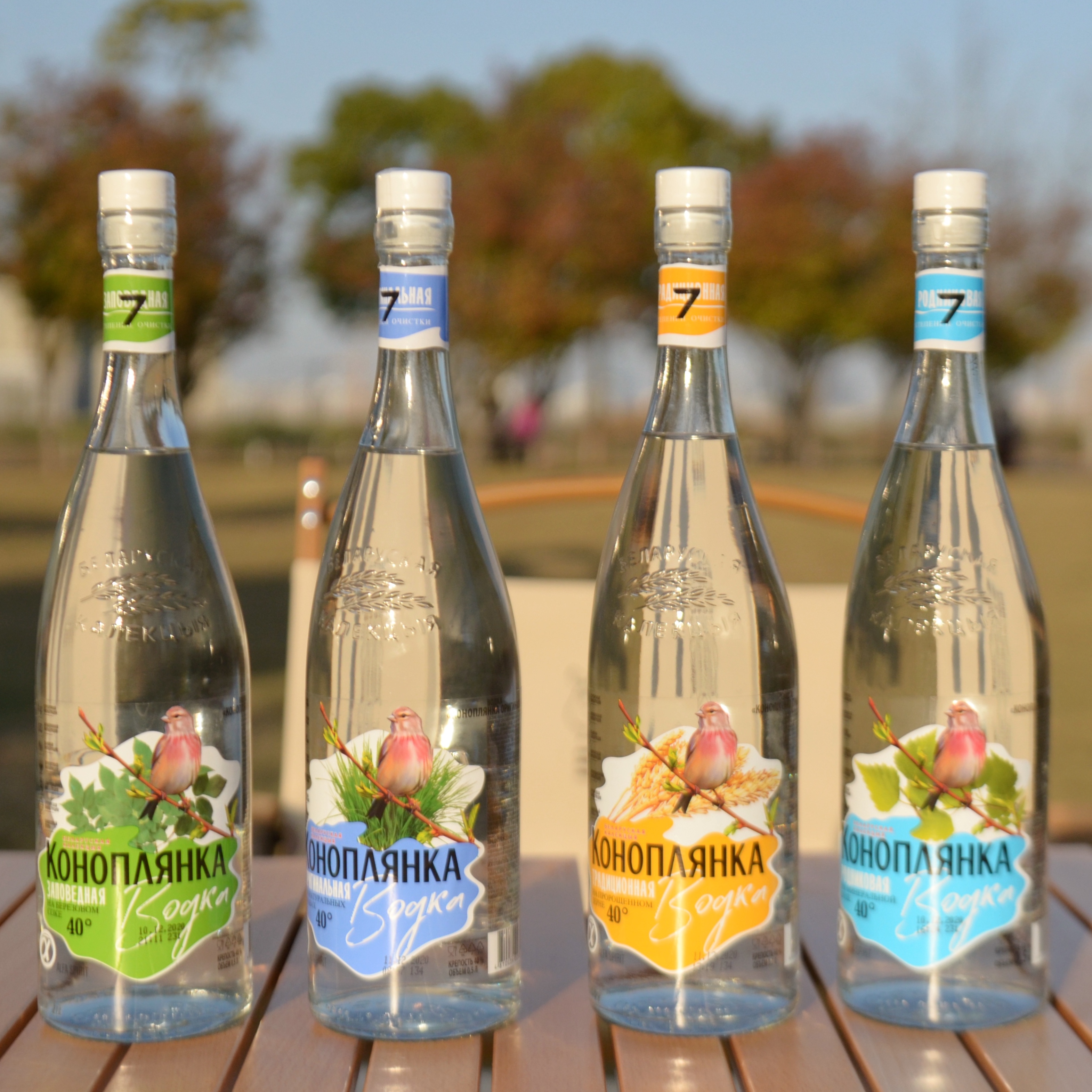 白俄罗斯进口彩色小鸟伏特加洋酒烈酒鸡尾酒调酒基酒伏特加