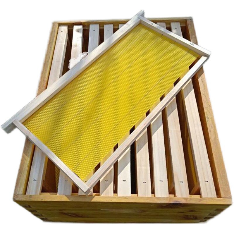 养蜂巢框中蜂巢框42巢框蜜蜂蜂框巢框巢脾蜜蜂箱巢框中蜂带框巢础