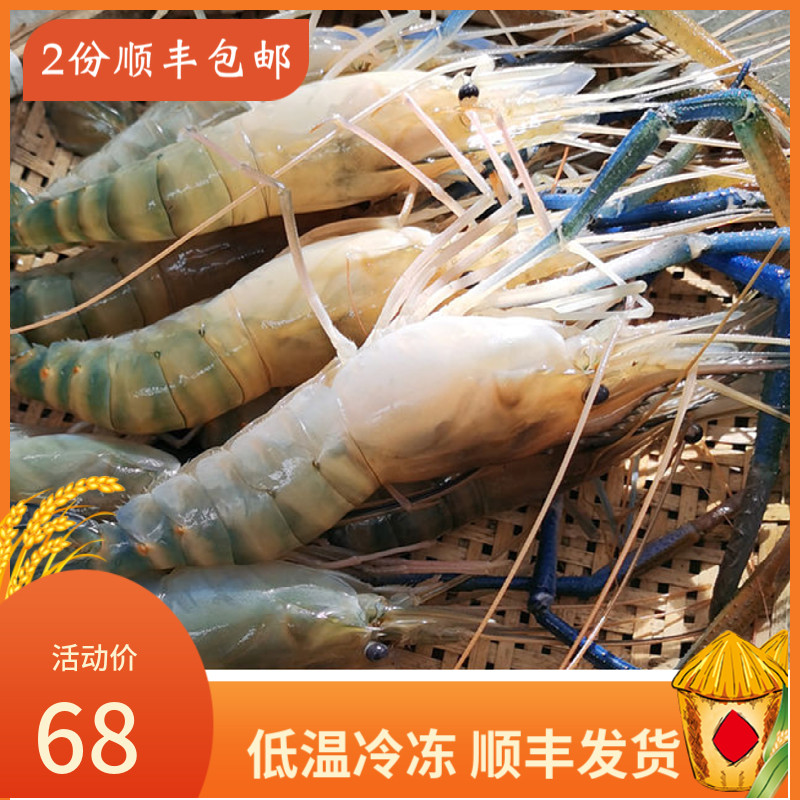 活体鲜冻海鲜罗氏虾大头虾鲜活泰国大虾淡水虾金钱虾顺丰