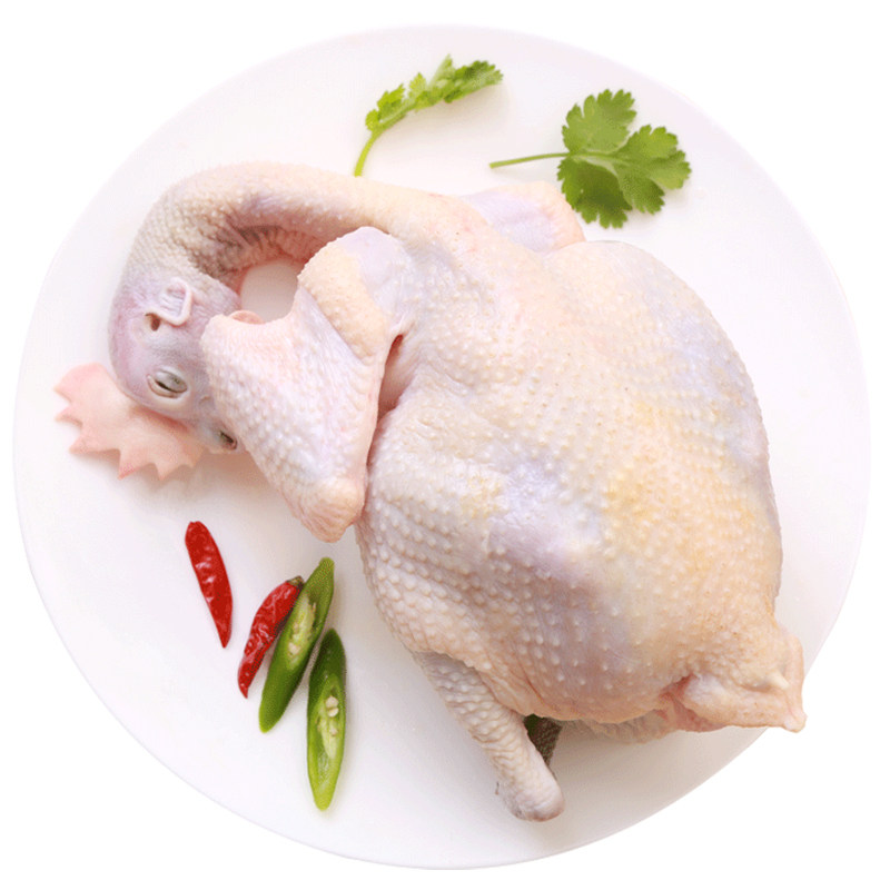 田园自然顺丰蛋鸡地下散养生长送一母鸡老母整鸡