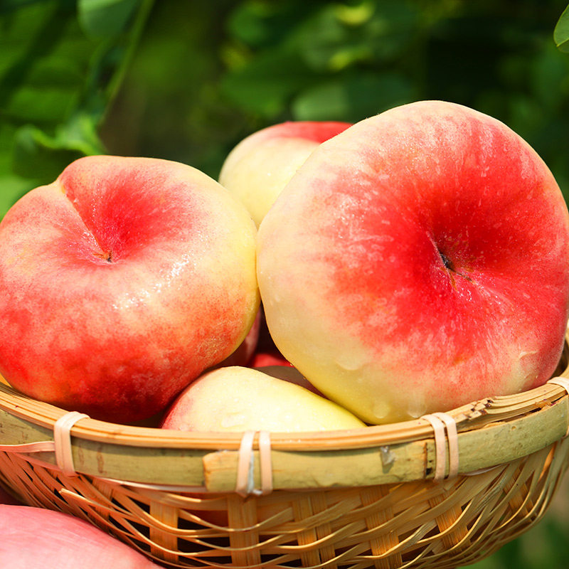 蟠桃新疆石河子水果新鲜当季整箱孕妇黄蟠桃白肉桃