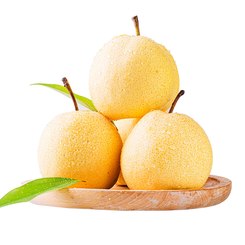 现摘蒲城酥梨10斤当季时令新鲜水果雪梨薄皮梨